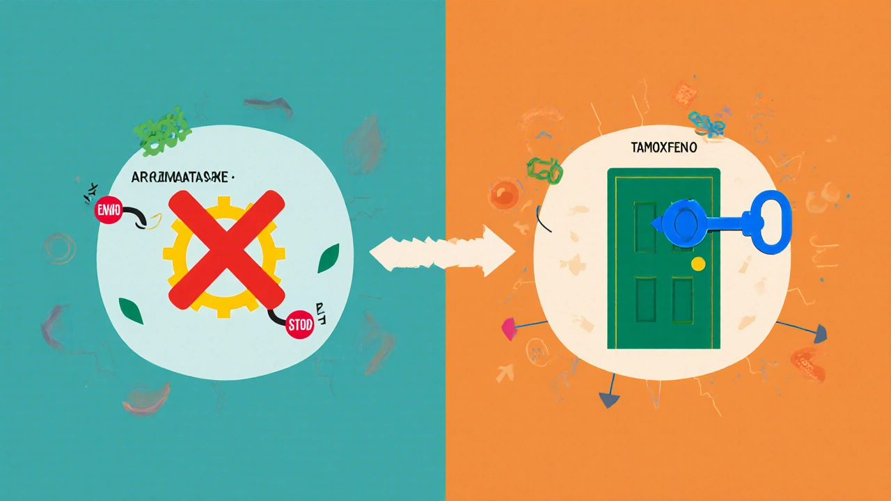 Ilustración de la inhibición de aromatasa por Letrozol y bloqueo del receptor por Tamoxifeno.