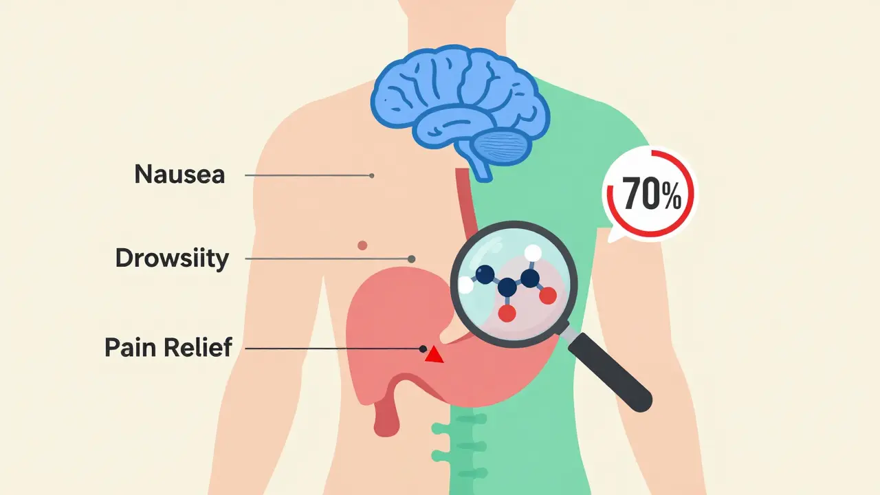 Esquema corporal que muestra efectos secundarios y cómo un cambio de opioide reduce náuseas y mejora el alivio del dolor.