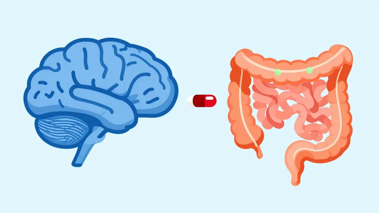 Concepto visual de bloqueo selectivo de opioides en el intestino